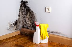 Best Mold Remediation for Healthcare Facilities  in Rose Lodge, OR